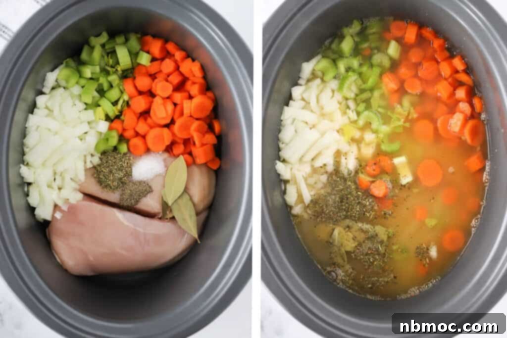 How to make slow cooker chicken noodle soup, chicken broth in a crockpot, ready to cook.