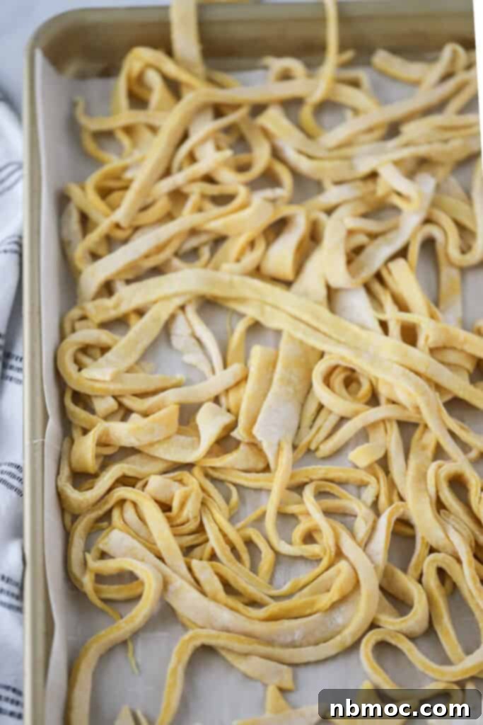 Golden Egg Noodles 3 A sheet tray filled with long strips of homemade egg noodles, dusted lightly with flour.