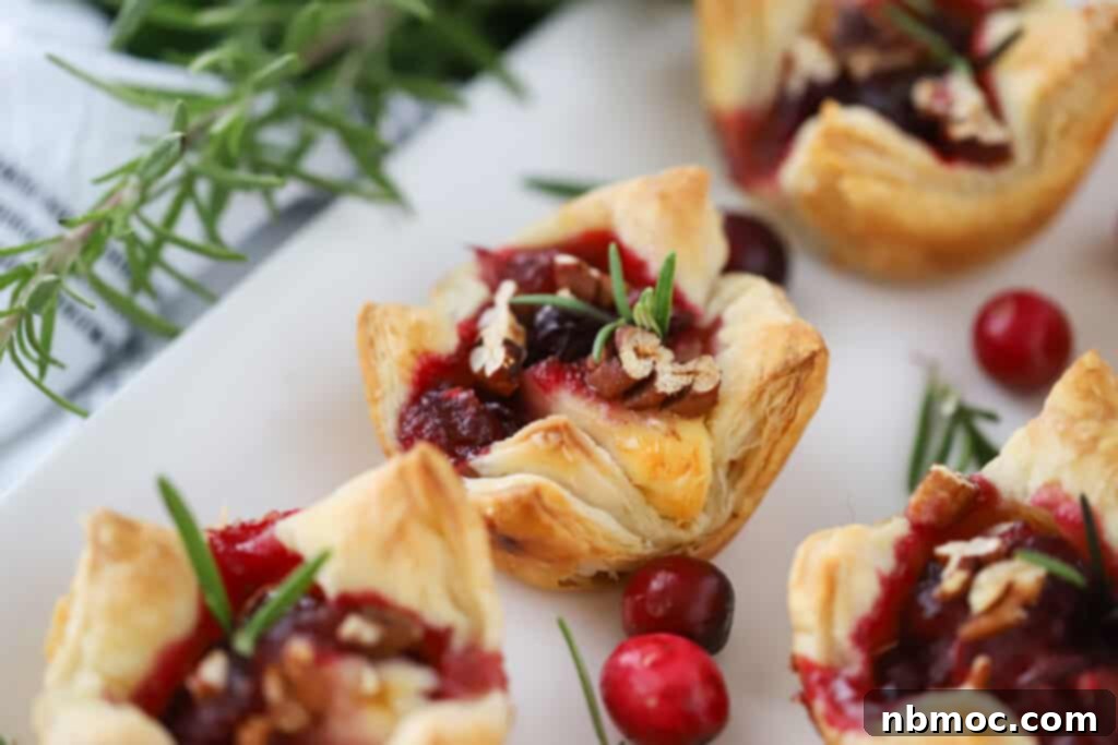 Baked brie in phyllo made into brie bites lined up on a white platter.