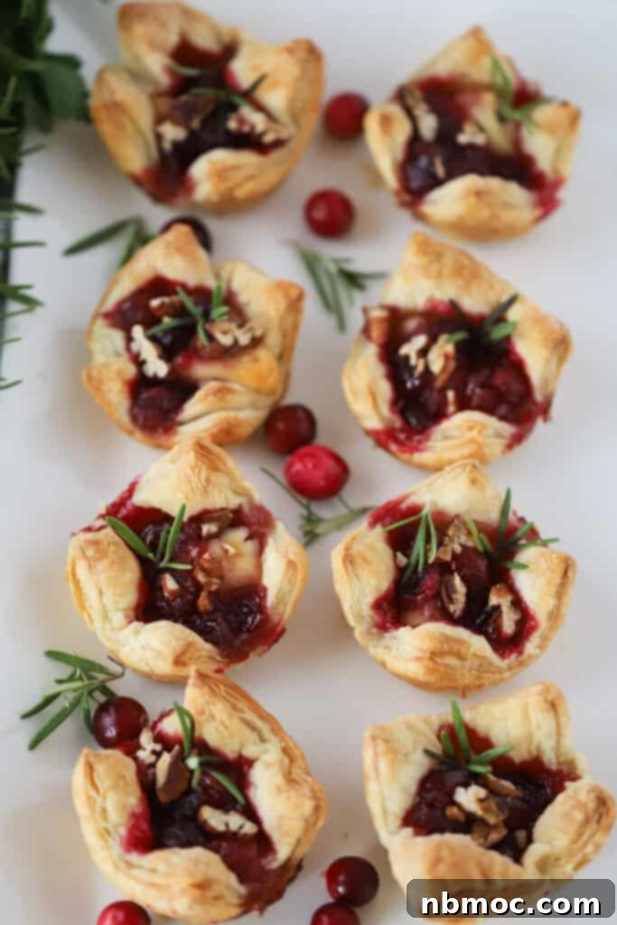Mini baked brie in phyllo filled with cranberry and pecans.