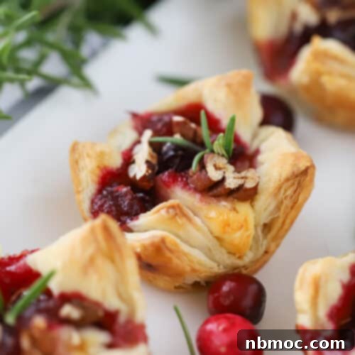 best Brie Bites recipe, recipe for brie bites.