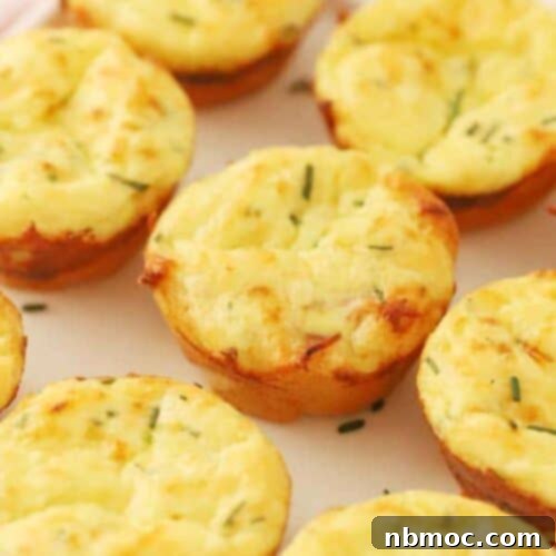 Delicious Mini Cheese Quiche