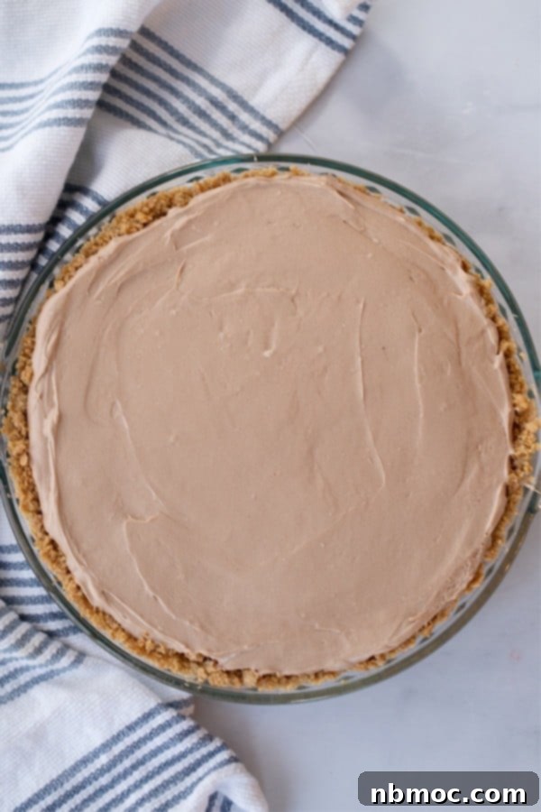 Creamy No-Bake Chocolate Indulgence 2 A whole no-bake chocolate cheesecake with a graham cracker crust, ready to be served.