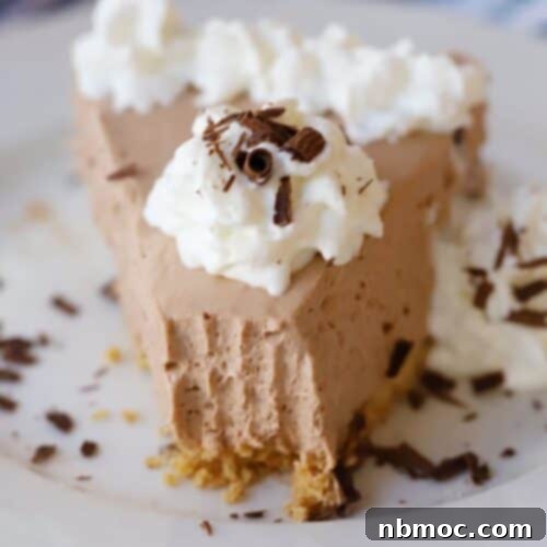 Creamy No-Bake Chocolate Indulgence 5 A slice of no-bake chocolate cheesecake topped with whipped cream and chocolate curls.