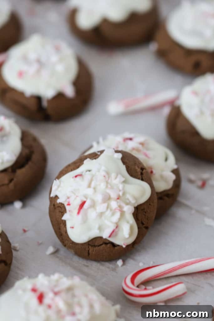 Chocolate Peppermint Meltaway Cookies on a baking sheet, topped with melted white chocolate and crushed candy canes, ready to be enjoyed. The perfect holiday treat.