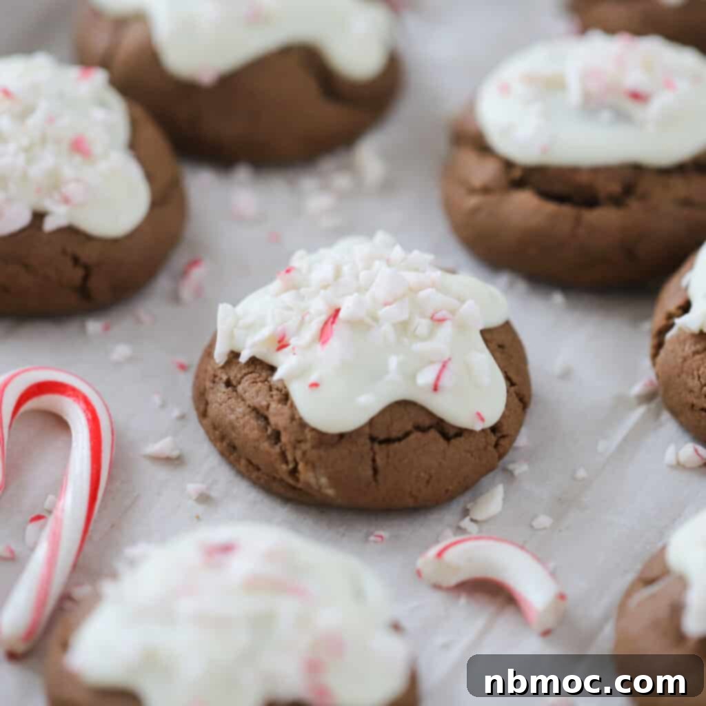 Close-up view of festive peppermint meltaway cookies, showcasing their rich chocolate base and white chocolate peppermint topping with crushed candy canes. A perfect mint meltaway recipe.