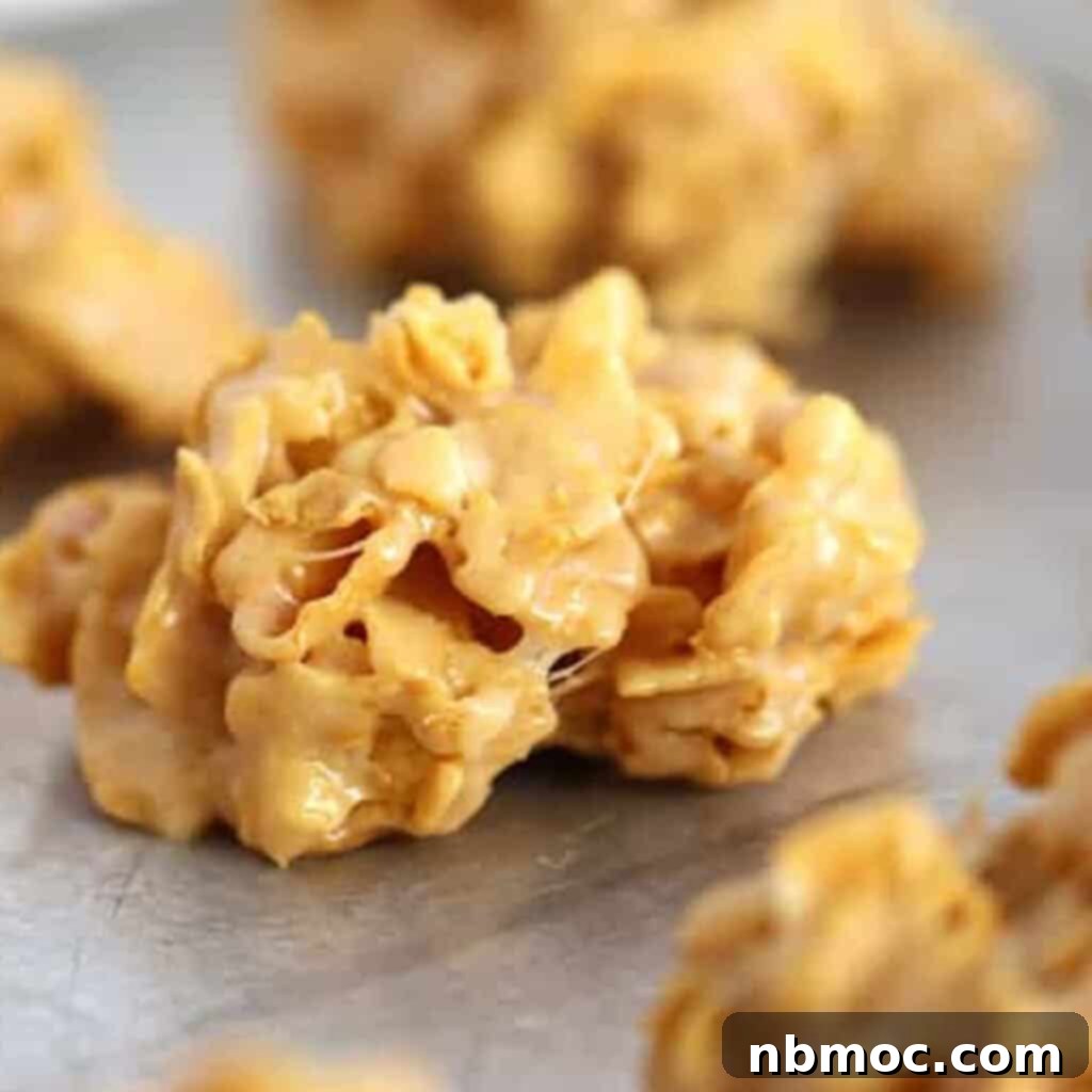 no bake peanut butter cornflake cookies on a countertop.