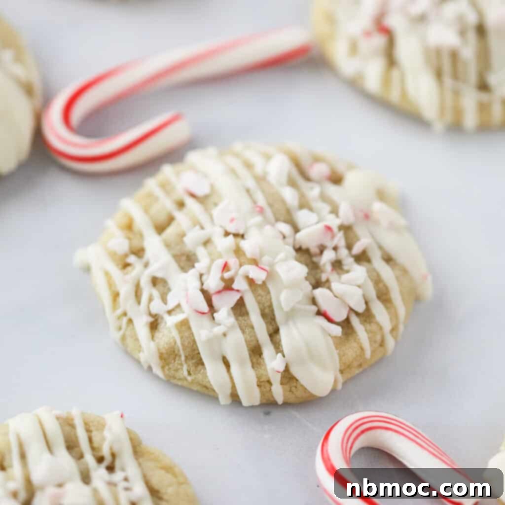 Peppermint meltaway cookies, a great candy cane cookie to use for cookie boards.