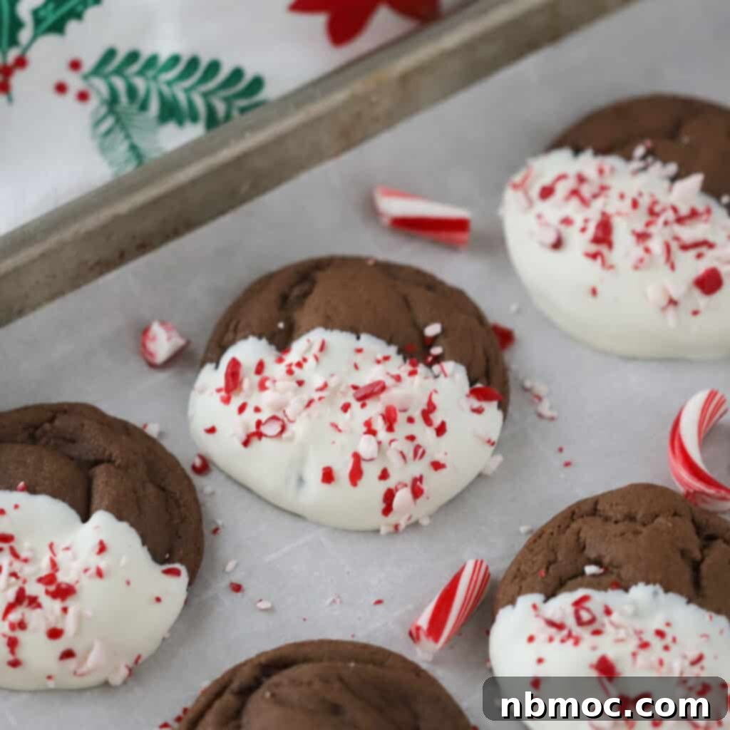 chocolate dipped peppermint cookie