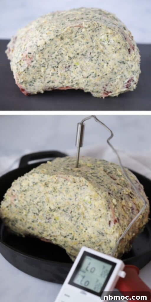Prime Rib roast generously covered in herb butter with a meat thermometer inserted, illustrating the readiness for roasting.