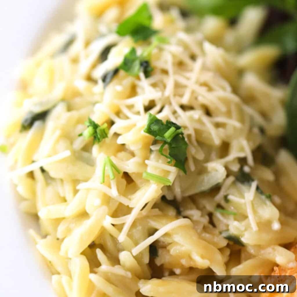 Valentines Day Dinner Inspiration 20 A pristine white bowl filled with creamy Garlic Parmesan Orzo, generously topped with cheese, an inviting and versatile side dish.