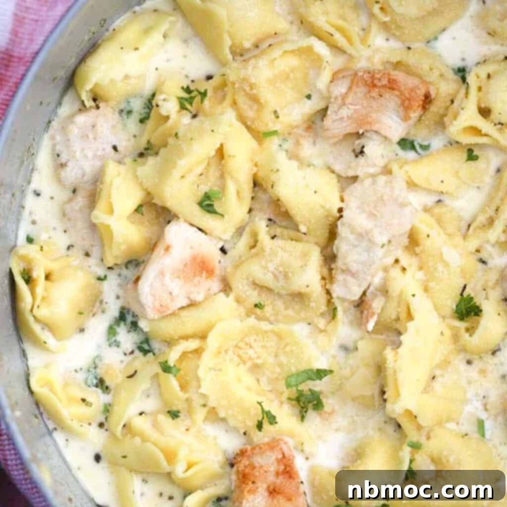 Valentines Day Dinner Inspiration 10 Creamy Garlic Chicken Alfredo Tortellini simmering in a skillet, showcasing a delectable and easy Valentine's Day dinner idea.