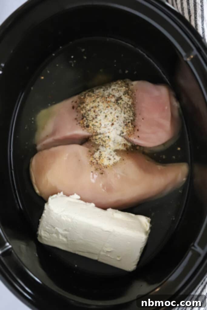 Raw boneless, skinless chicken breasts placed in the bottom of a slow cooker, with a block of cream cheese and Italian dressing mix packets visible, ready for cooking. Illustrates the simplicity of the 'dump and go' method.