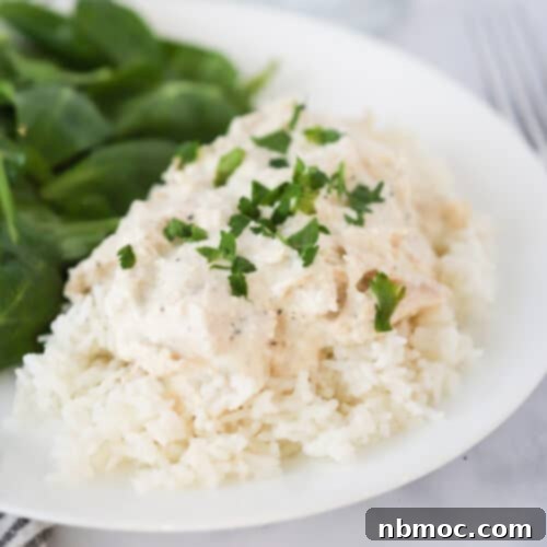 Crockpot chicken and gravy, a creamy and comforting dish served over rice. This highlights a delicious, easy-to-make family meal.