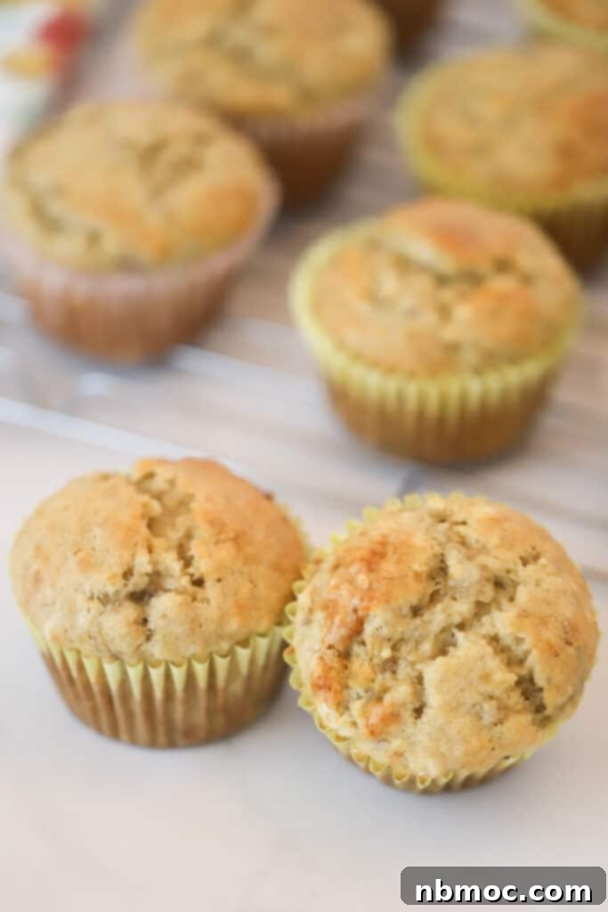 Nourishing Banana Muffins 2 A tabletop filled with freshly baked banana muffins made with Greek yogurt, ready to be enjoyed as a healthy treat.