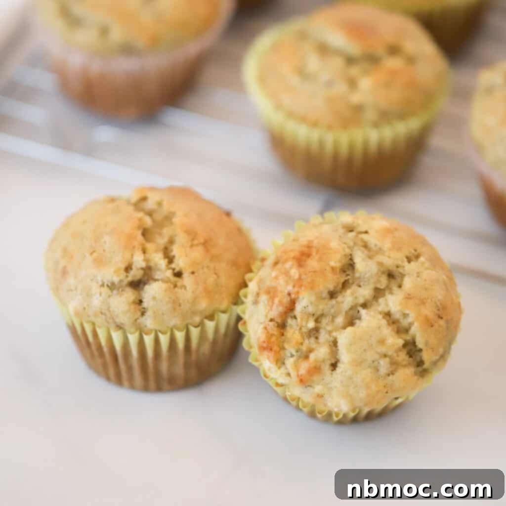Nourishing Banana Muffins 6 Healthy banana muffins recipe featuring Greek yogurt, presented as an easy and wholesome breakfast or snack.