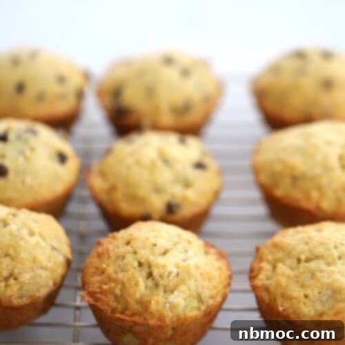 Nourishing Banana Muffins 7 Easy Banana Muffin Recipe