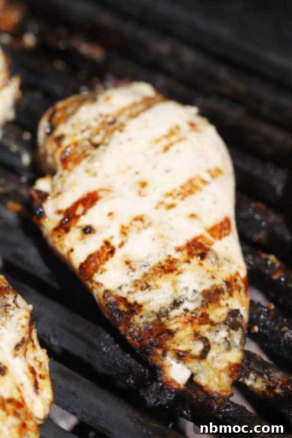 grilled chicken on a BBQ, chicken blt salad, chicken salad blt, blt salad dressing, blt salad recipe.