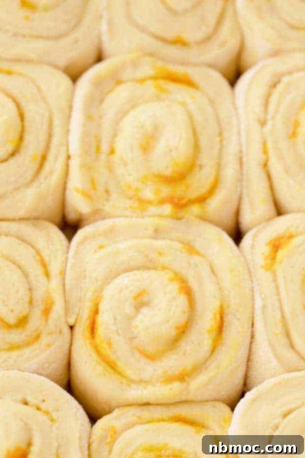 Freshly baked orange sweet rolls rising in a baking dish, golden brown and ready for frosting.