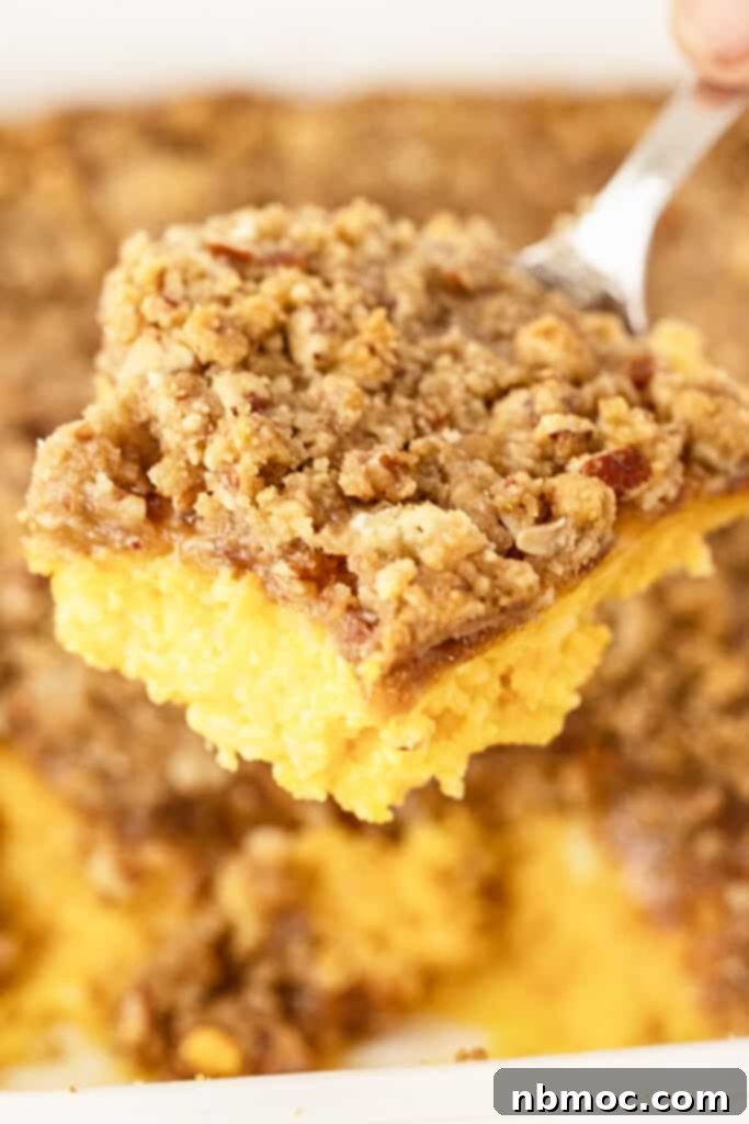 Spiced Pecan Sweet Potato Bake 2 A serving of classic sweet potato casserole with a golden brown pecan streusel topping, removed from a large baking dish, showcasing its rich texture.