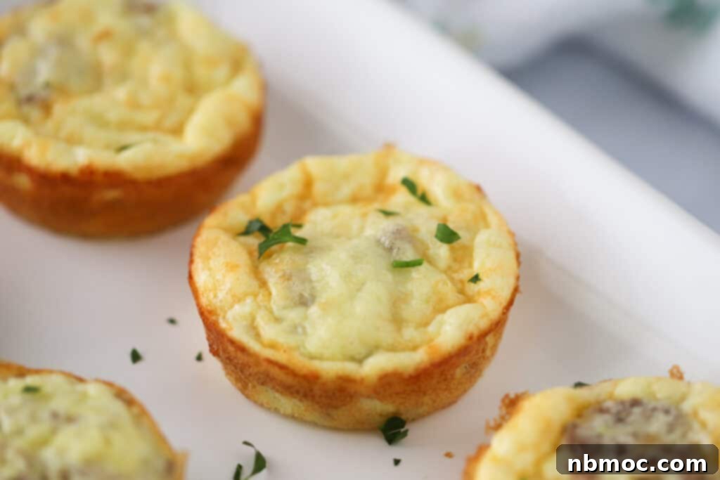 easy cottage cheese egg bites, an easy high protein bites recipe full of spinach and sausage.