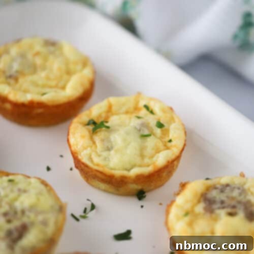 High Protein Egg Bites