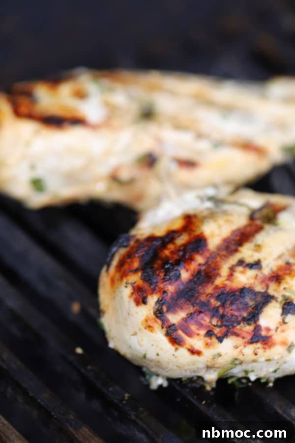 Zesty Cilantro Lime Chicken 3 Perfectly grilled cilantro lime chicken breast, tender and juicy, showing off beautiful grill marks. A close-up of the best grilled chicken.