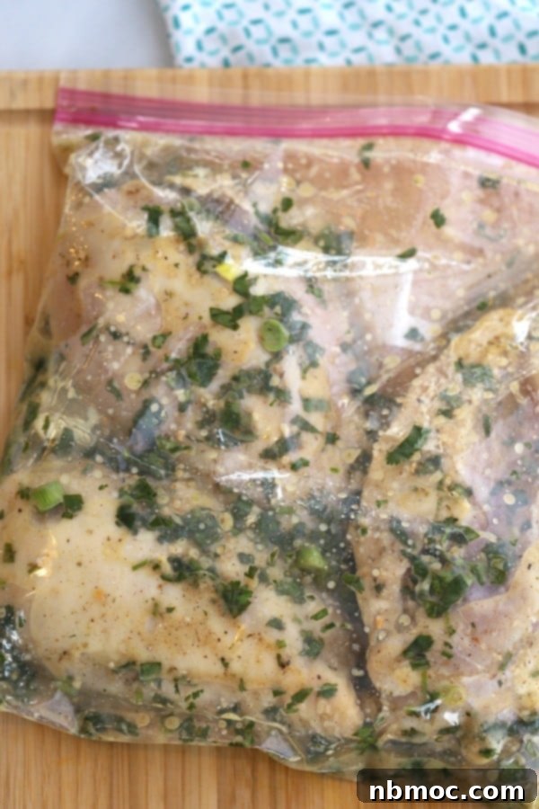 Zesty Cilantro Lime Chicken 4 Close-up of a freezer bag filled with fresh lime cilantro marinade, garlic, and spices, ready to infuse chicken with incredible flavor.