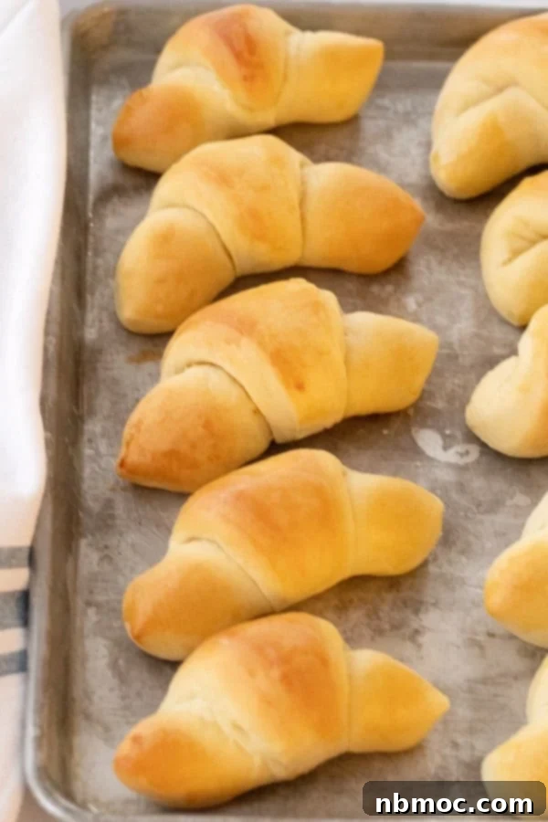 Fluffy Homemade Crescent Rolls 2 Homemade crescent rolls on a baking sheet that were made using the best homemade crescent roll recipe.
