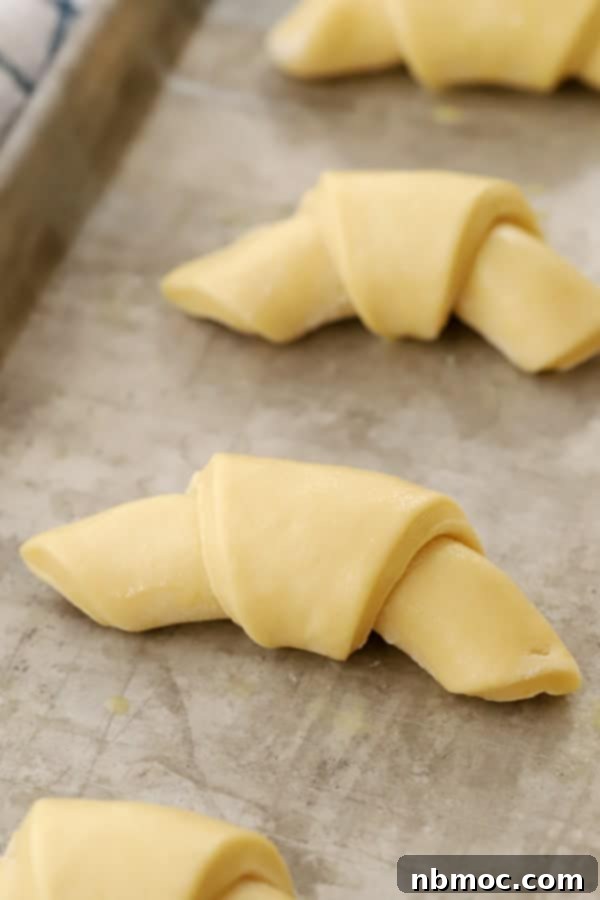 Fluffy Homemade Crescent Rolls 4 A baking sheet with rolled crescent rolls ready to bake.