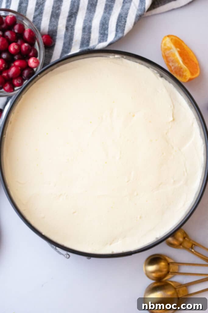 Vibrant no-bake orange cheesecake in a springform pan, ready to be served as a refreshing orange creamsicle dessert.