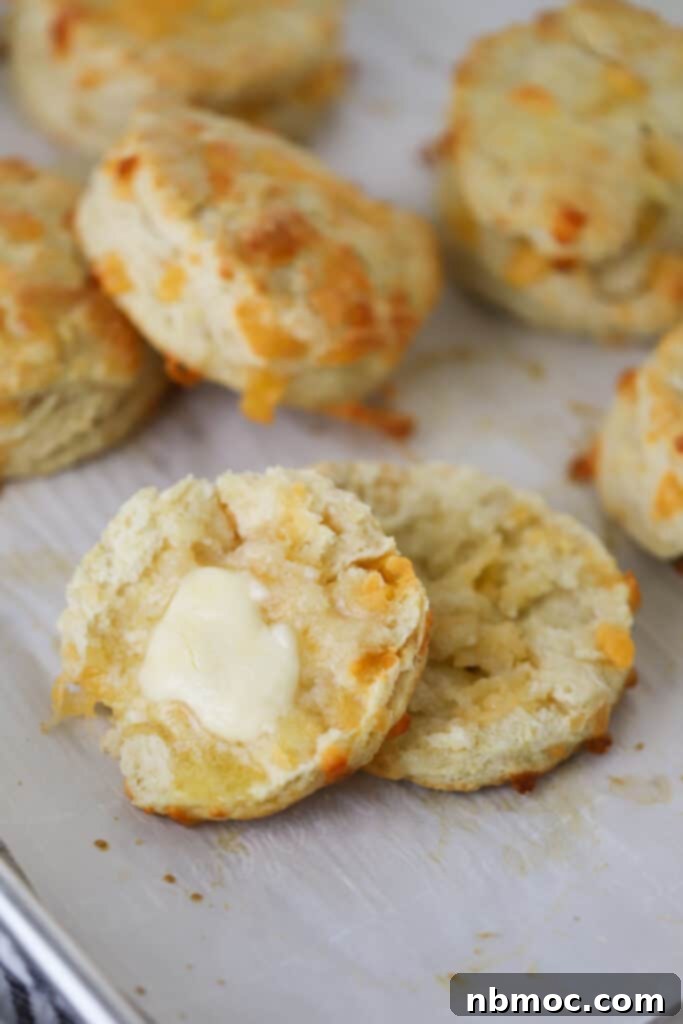 Cheddar cheese biscuits spread with butter on a baking sheet.