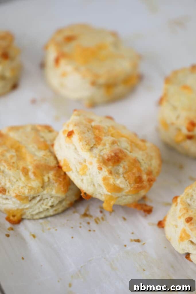 Homemade cheddar biscuits on parchment paper; the best recipe for easy cheddar cheese biscuits.
