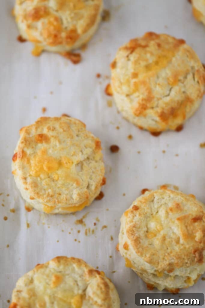 Easy cheddar biscuits on a baking sheet, great for cheese tea biscuits.