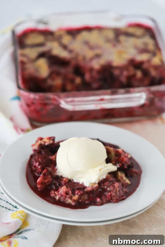 Rustic Blackberry Oat Bake 2 Best Blackberry Crisp Recipe in a small bowl topped with vanilla ice cream.