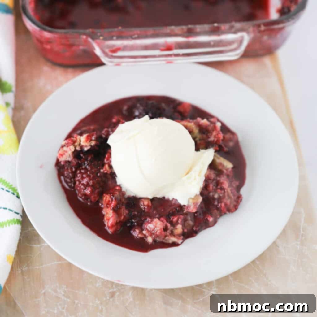 Rustic Blackberry Oat Bake 3 A bowl full of blackberry crisp with oats on top and big scoop of vanilla ice cream.