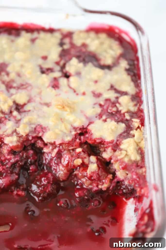 Rustic Blackberry Oat Bake 5 Fresh blackberry crisp in a baking dish with crumble topping.