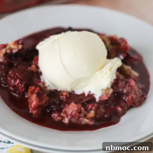 Rustic Blackberry Oat Bake 6 Delicious Blackberry Crisp ready to be served.