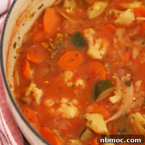 Skinny vegetale soup