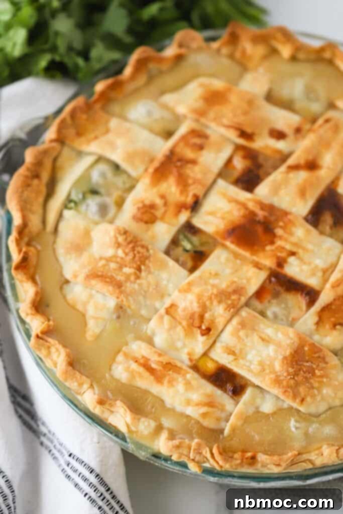 Golden brown double crust chicken pot pie with a flaky crust is the best chicken pot pie recipe.
