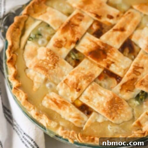 Delicious Double Crust Chicken Pot Pie