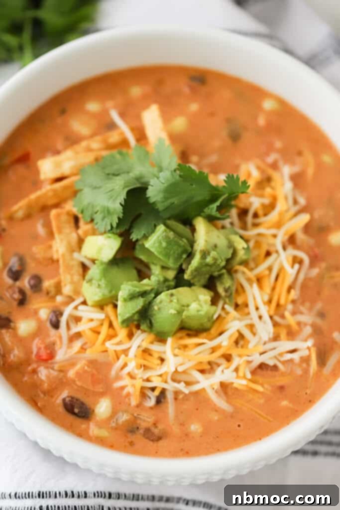 Zesty Fiesta Chicken Soup 4 creamy chicken taco soup recipes, perfect for cool weather and an easy one-pot recipe.
