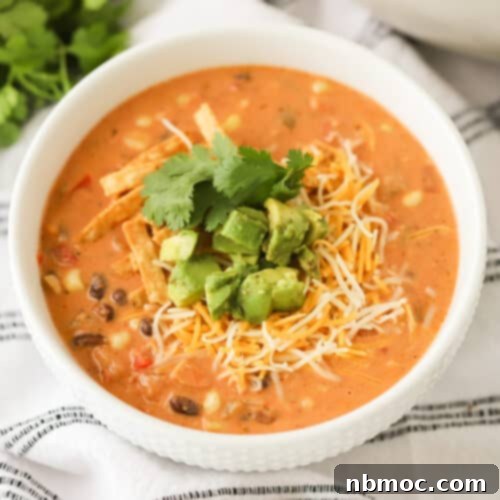 Zesty Fiesta Chicken Soup 5 chicken taco soup.