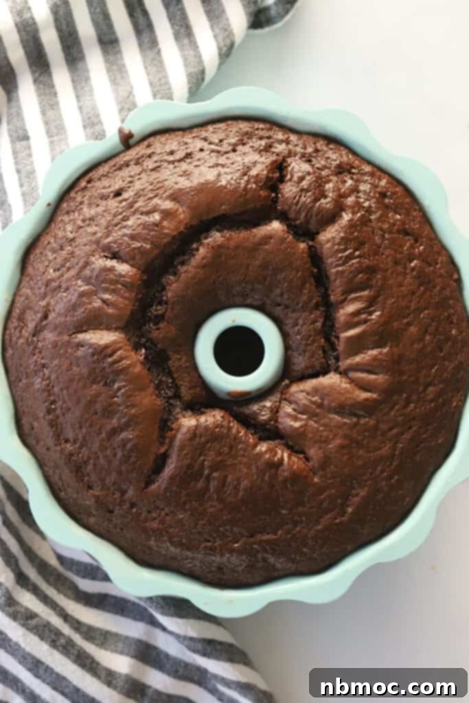 Baked chocolate bundt cake in bundt pan.