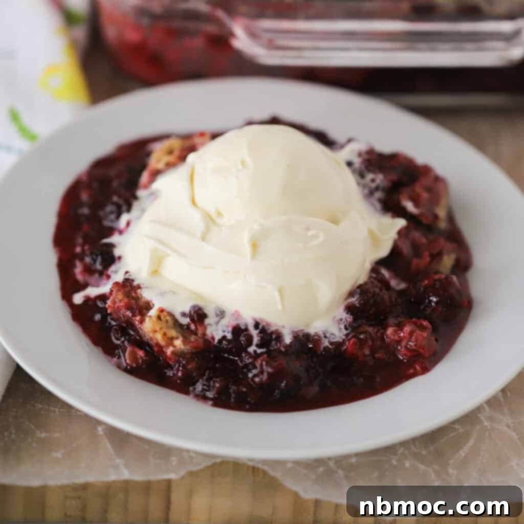Warm Blackberry Crisp with oat topping, perfect summer dessert