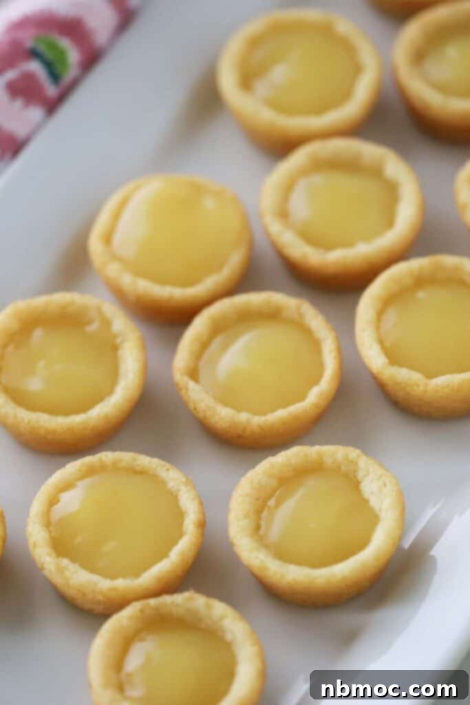 A collection of vibrant Lemon Cookie Cups neatly arranged on a white serving platter, showcasing their golden edges and sunny lemon filling.