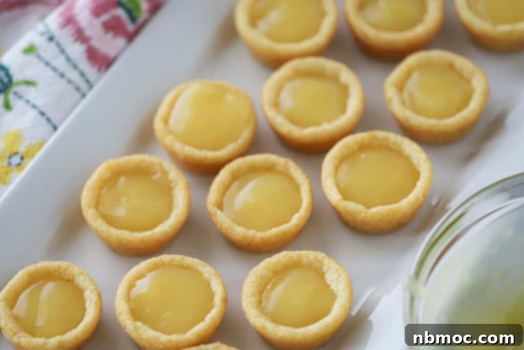 A stunning display of finished Lemon Cookie Cups, garnished with powdered sugar, ready to be served. Highlights the best lemon cookies with homemade lemon curd.