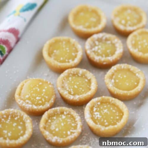Close-up image of a single Lemon Cookie Cup, filled with smooth lemon curd, ready to be enjoyed.