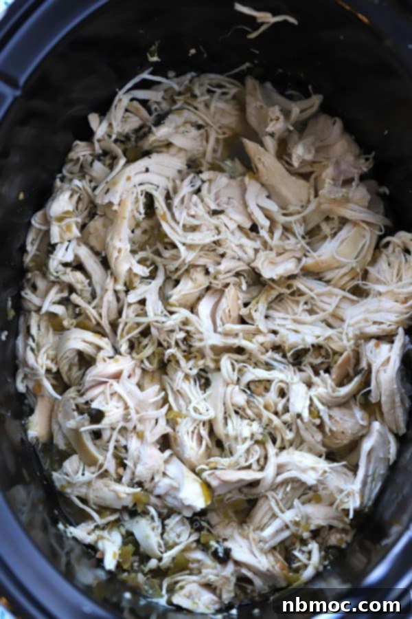 Slow cooker cilantro lime chicken shredded and sitting in a crockpot.