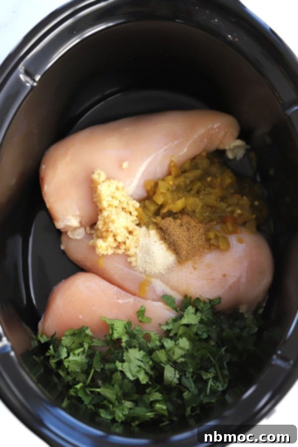 raw chicken breast, cilantro, chopped garlic and spices in a crockpot ready to make crock pot cilantro lime chicken.